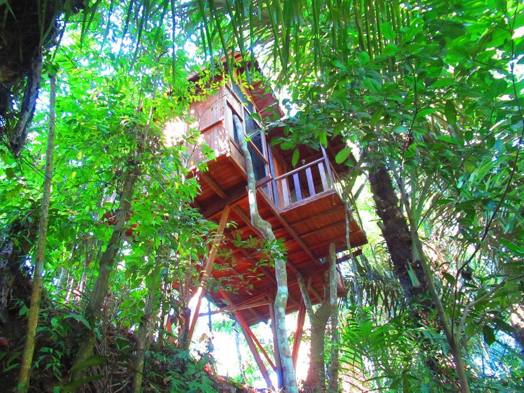 מלון אובוד Hars Garden Tree Houses מראה חיצוני תמונה